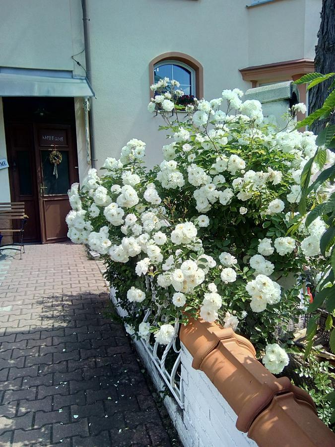 Mariánské Lázně Penzion Villa Marion מראה חיצוני תמונה